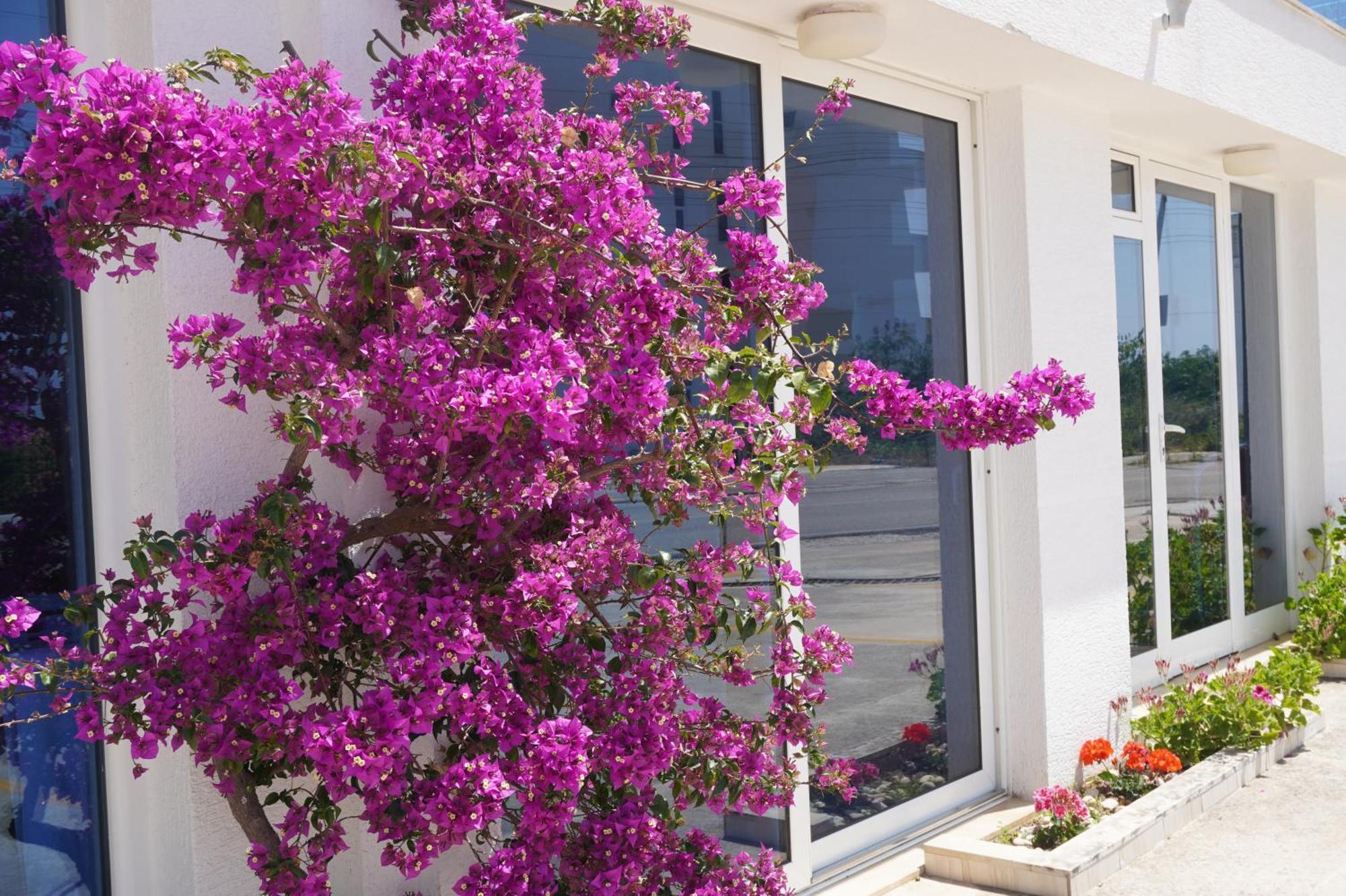 Hotel Agel Saranda Kültér fotó